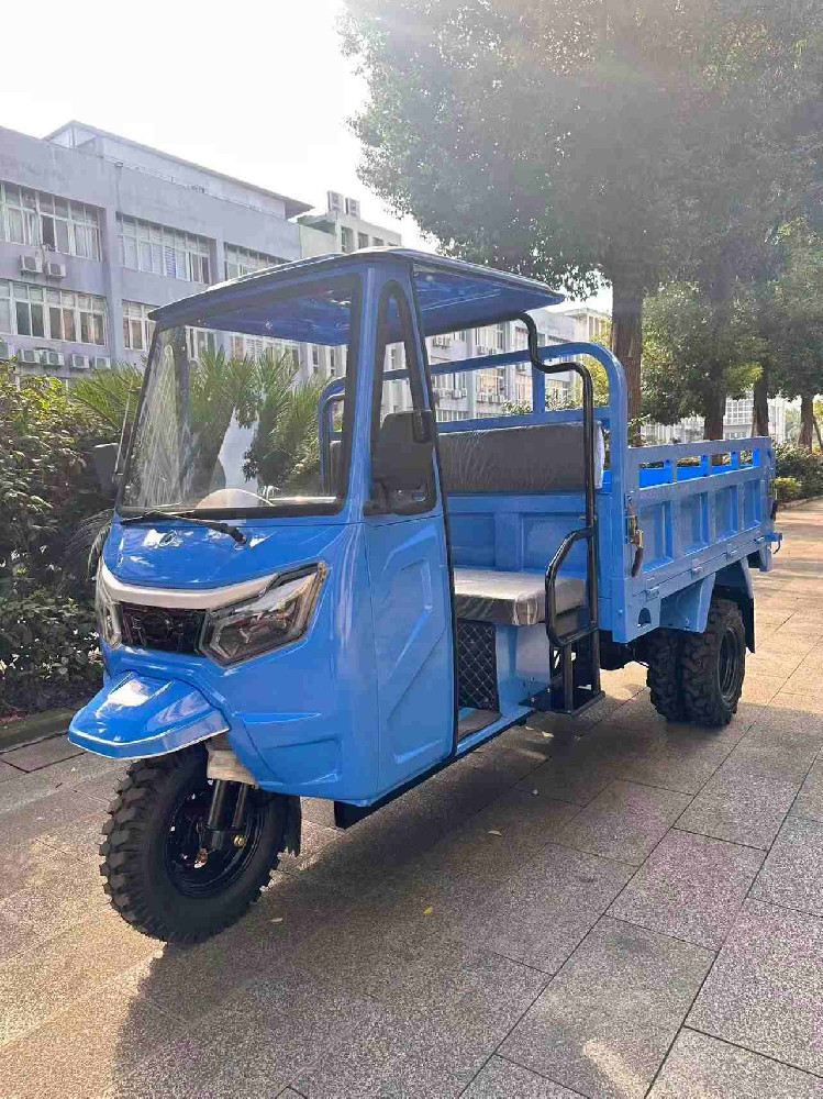 H5 Light-Duty Gasoline Cargo Tricycle
