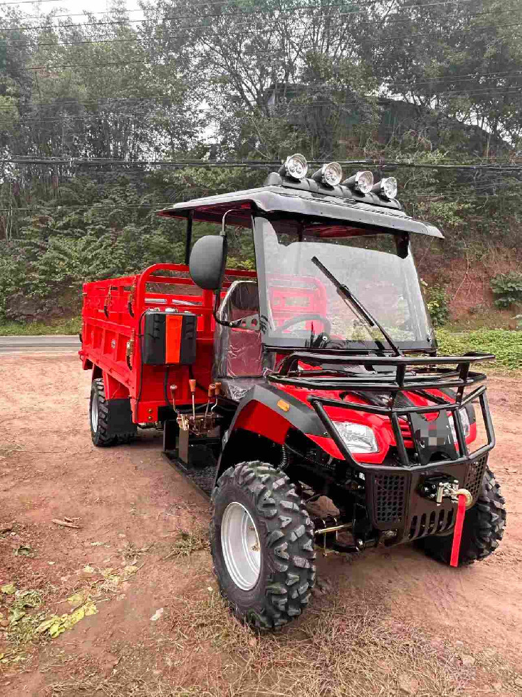 Premium Model 350cc Heavy-Duty All-Terrain Gasoline Cargo Tricycle